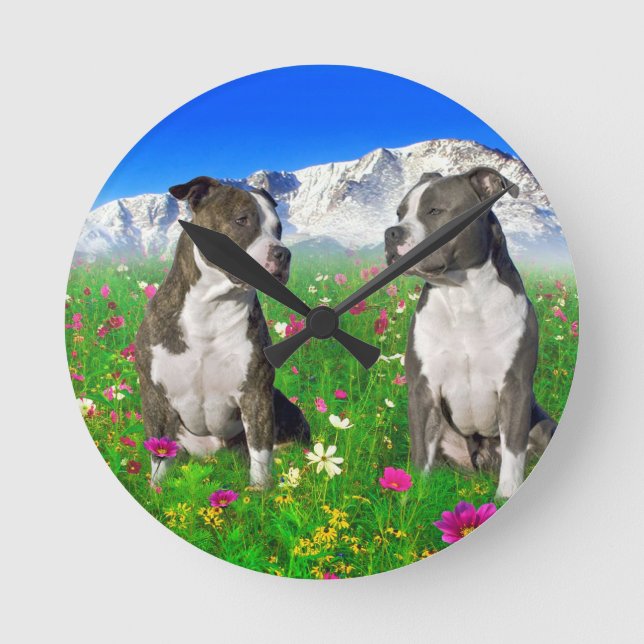 Brindle u. blaue Staffordshire- u. Pitbull-Hunde Runde Wanduhr (Vorderseite)