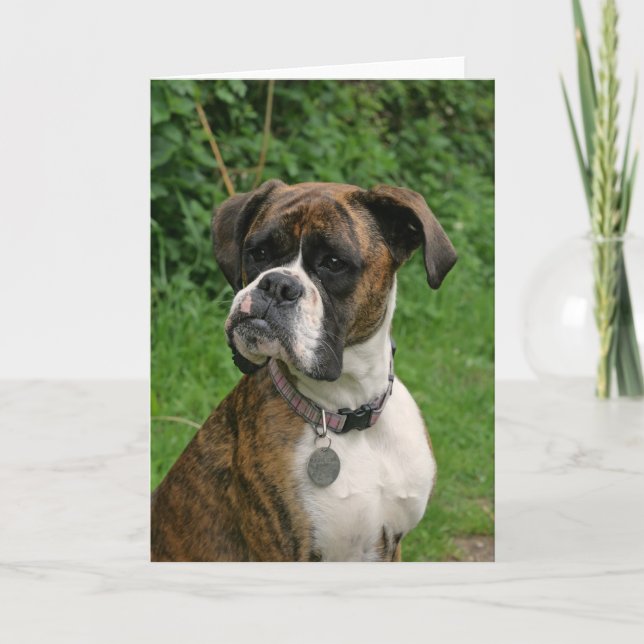 Brindle und weiße Boxer-Hundegruß-Karte Karte (Vorderseite)