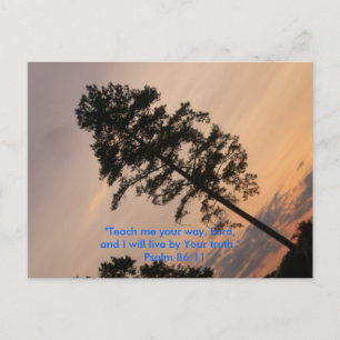 "Bringe mir deinen Weg, Herr, und ich werde l... Postkarte