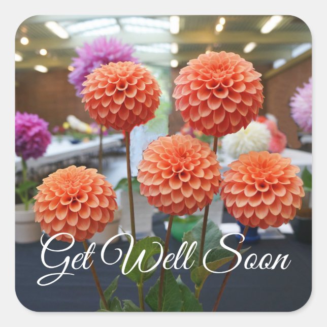Bringt bald Dahlia Rose Toscano #1-1 Stickers (Vorderseite)