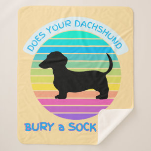 Bringt deine Dackel einen Socken zu einem Sonnenun Sherpadecke