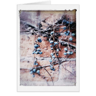 Briques et vigne d'hiver Toutes les occasions Vide