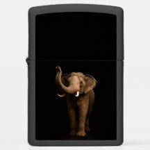 Briquet Zippo avec Mighty Elephant