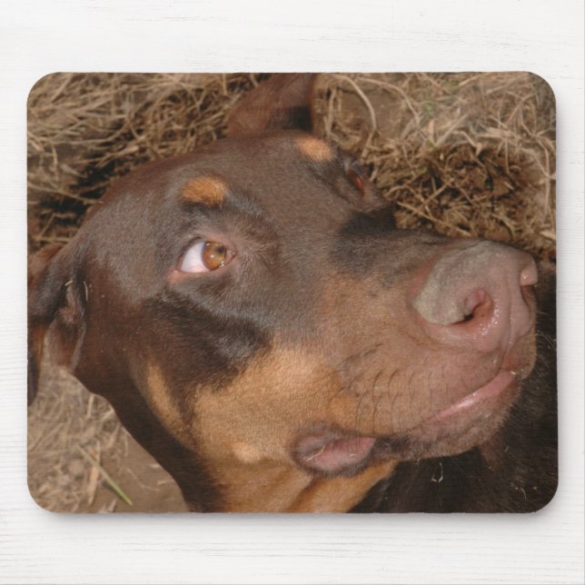 Brisbee Lee Mousepad (Vorne)