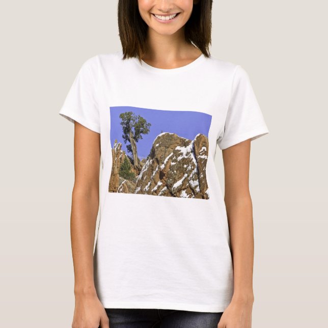 Bristlecone Kiefer T-Shirt (Vorderseite)