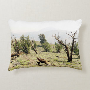 Bristlecone Pine Dekokissen