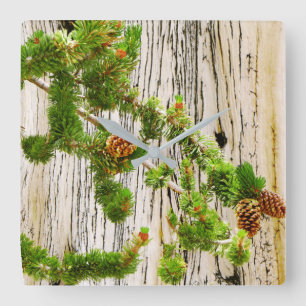 Bristlecone Pine Quadratische Wanduhr