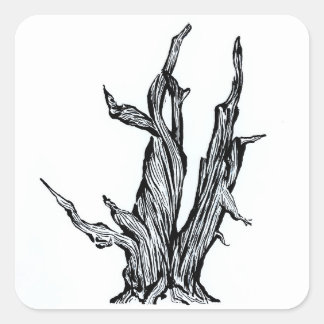 Bristlecone Pine Quadratischer Aufkleber