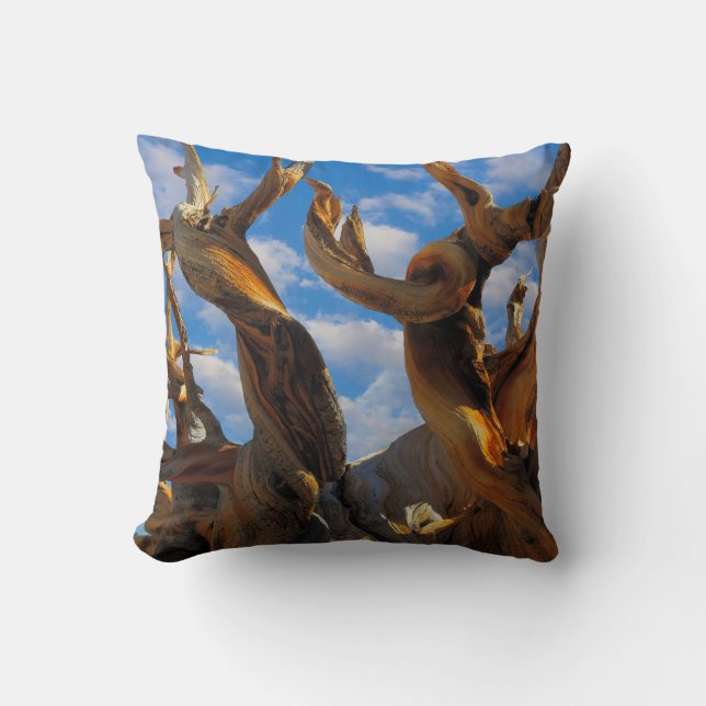 Bristlecone Pine Tree Kissen (Vorderseite)
