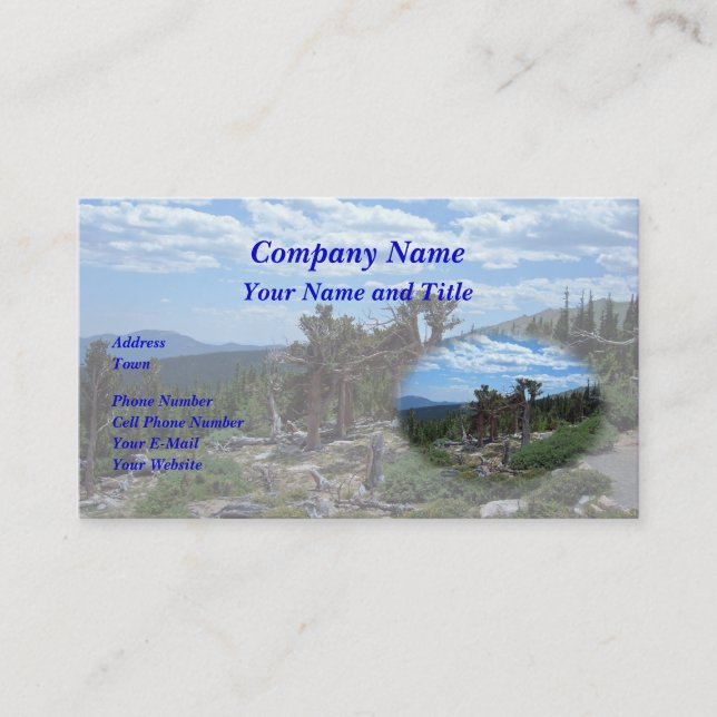 Bristlecone Pine Tree Visitenkarte (Vorderseite)