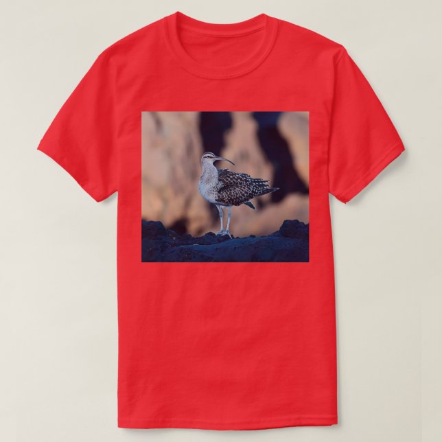Bristlethighed Curlew T-Shirt (Design vorne)