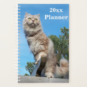 Britanniques Longhair Cat Annuel Planificateur - P