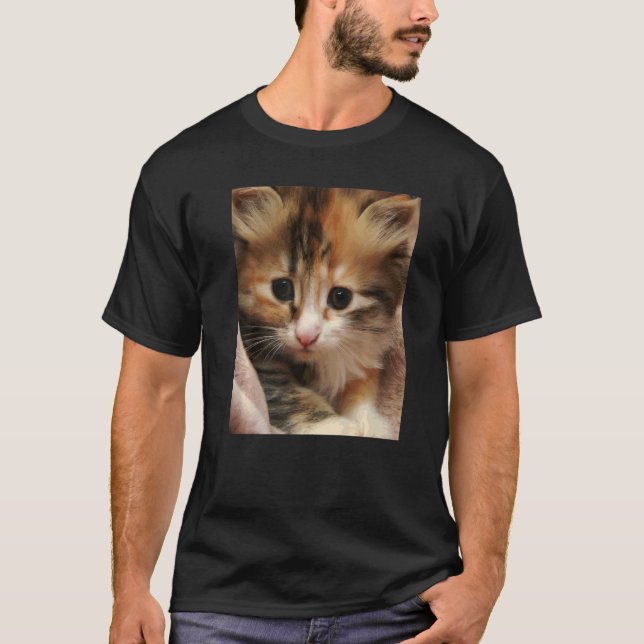 Britisch Langhaar Katze T-Shirt (Vorderseite)