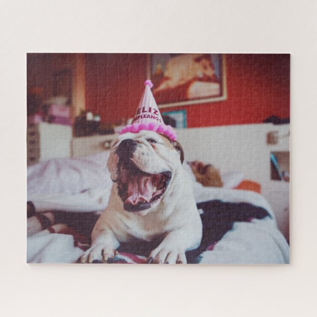 Britische Bulldogge Getty Bild-| (Horizontal)