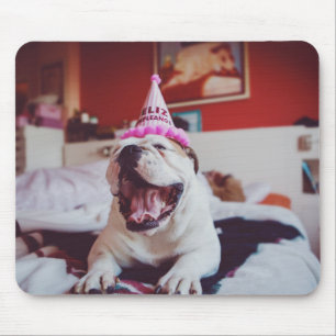 Britische Bulldogge Getty Bild-  Mousepad