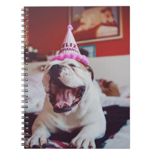 Britische Bulldogge Getty Bild- Notizblock
