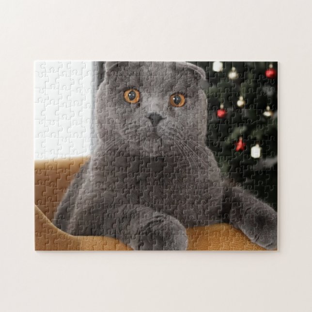 Britische Katze und Weihnachtsbaum (Horizontal)