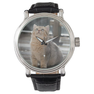 Britische Kurzhaar, Katze, Haustier Armbanduhr