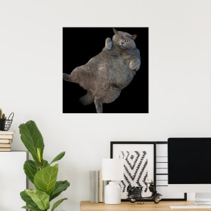 Britische Kurzkatze auf der Rückseite Poster