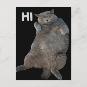 Britische Kurzkatze auf der Rückseite Postkarte