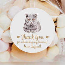 Britische Kurzkatzen-Gastgeschenk Hochzeit-Sticker