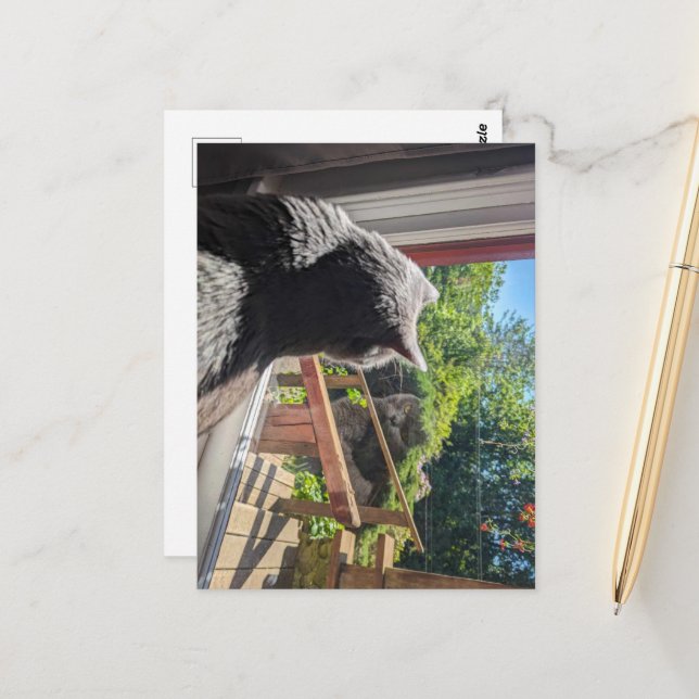 Britische Kurzreflektion im Window-Foto Postkarte (Vorderseite/Rückseite Beispiel)