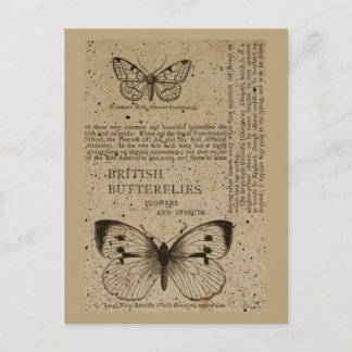Britische Schmetterlinge Postkarte