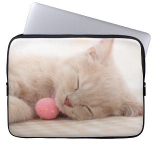 Britische Shorthair Katze Laptopschutzhülle
