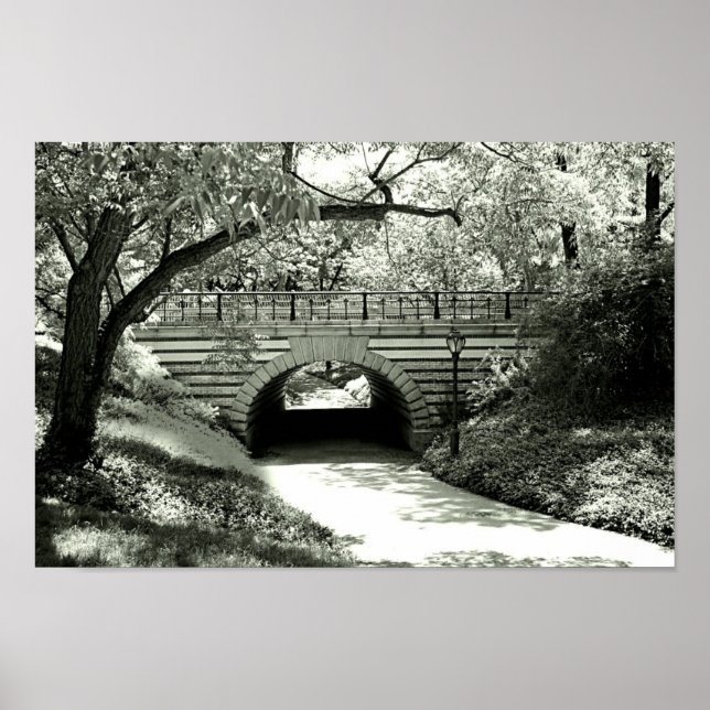 Britische U-Bahn und Weg zum Central Park Poster (Vorne)