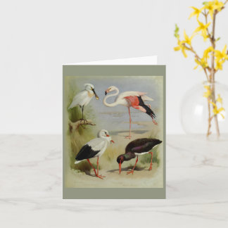 Britische Vögel, Kunstdarstellungen Karte