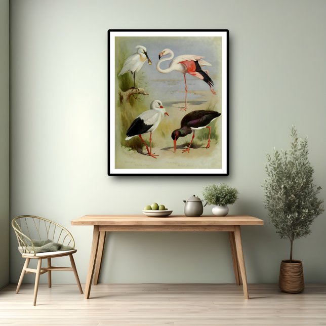 Britische Vögel, Kunstdarstellungen Poster (Von Creator hochgeladen)