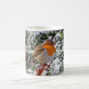 Britisches Rotkehlchen redbreast Kaffeetasse