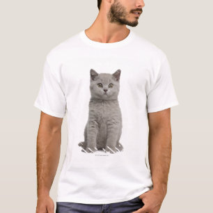 Britisches Shorthair Kätzchen (10 Wochen alt) 2 T-Shirt
