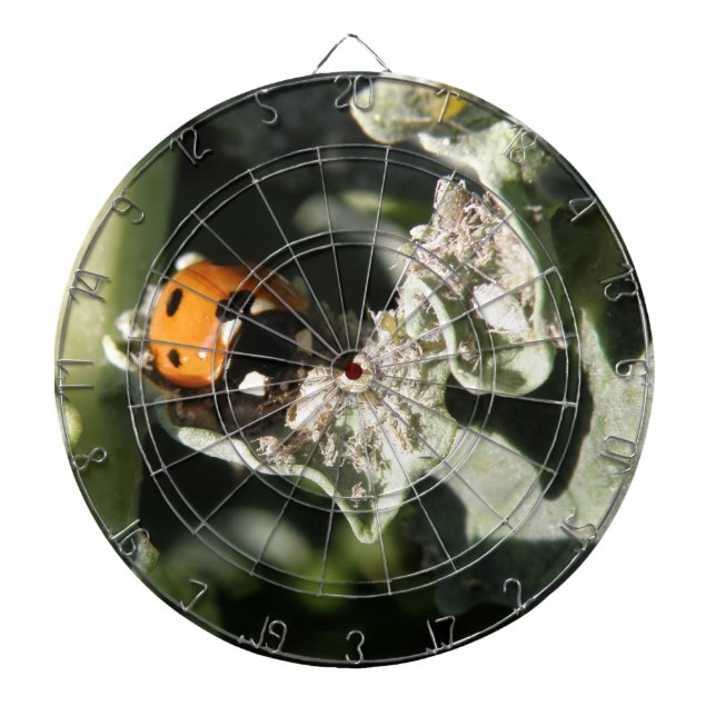 British 7 Spot Ladybug Cible de flechettes (Devant)