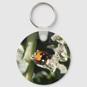 British 7 Spot Ladybug Schlüsselanhänger