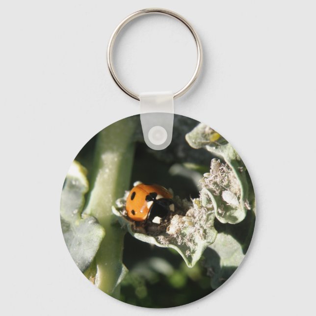 British 7 Spot Ladybug Schlüsselanhänger (Vorderseite)