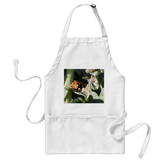 British 7 Spot Ladybug Schürze (Vorne)