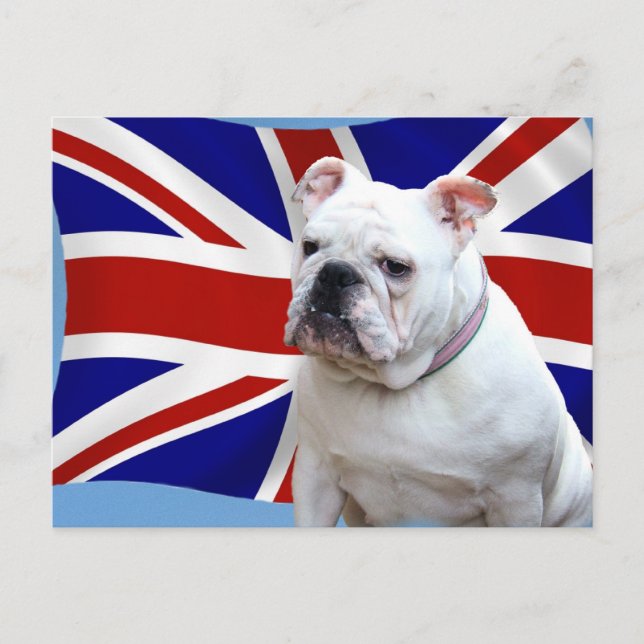 British Bulldog Postkarte (Vorderseite)