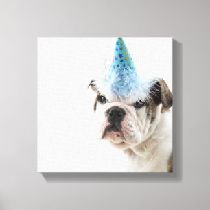 British Bulldog Welpe, die einen Party-Hut trägt Leinwanddruck