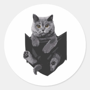 British Graue Katze in Pocket S Runder Aufkleber