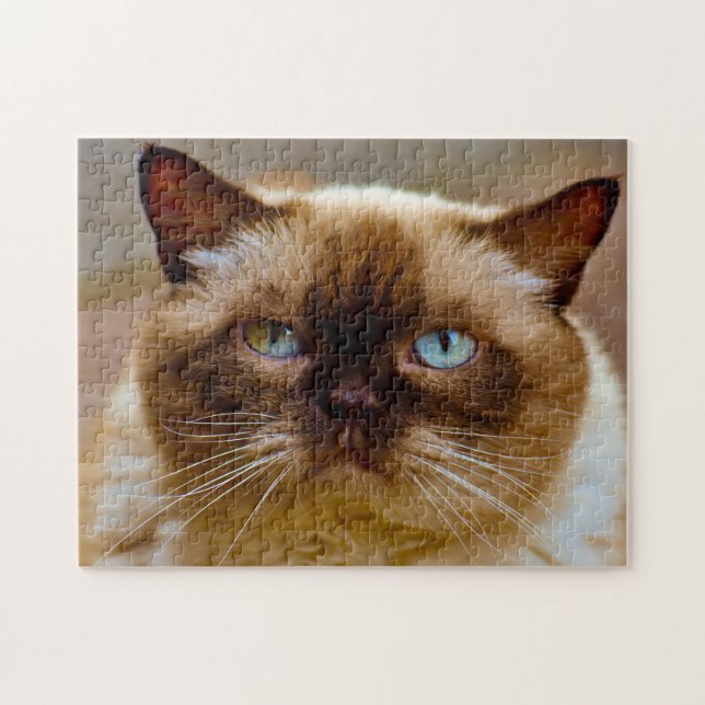 British Kurz Hair Cat. Jigsaw Puzzle (Horizontal)