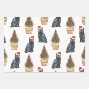 British Longhair Cat In Weihnachtsmannmütze, Cat F Geschenkpapier Set