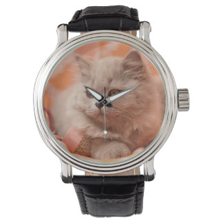British shorthair, British longhair, Lilac Armbanduhr