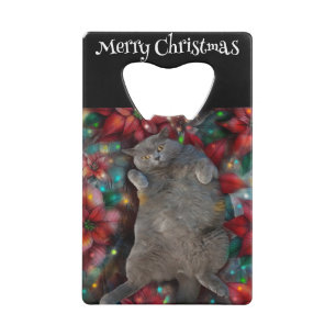 British Shorthair Cat Kitty in Poinsettias Lights Geldbeutel Flaschenöffner