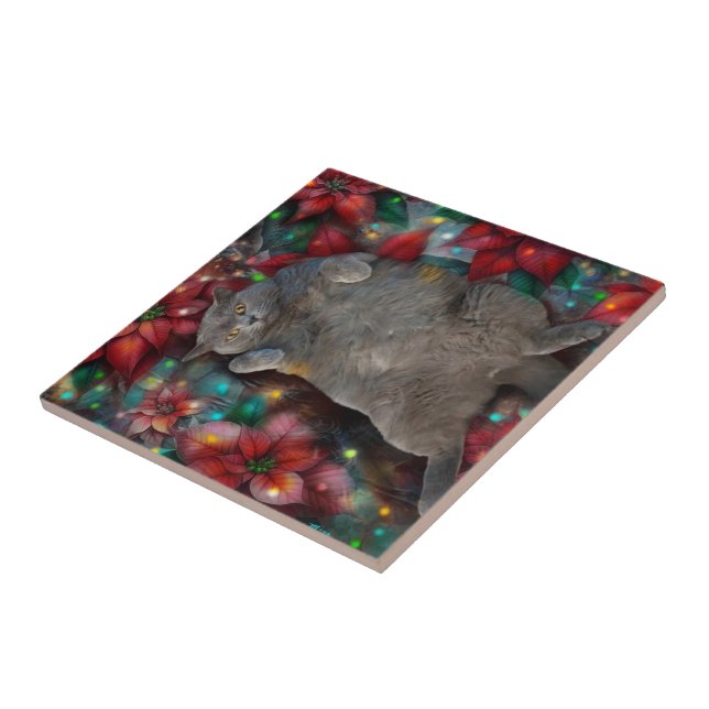 British Shorthair Cat Kitty Poinsettias Weihnachte Fliese (Seite)