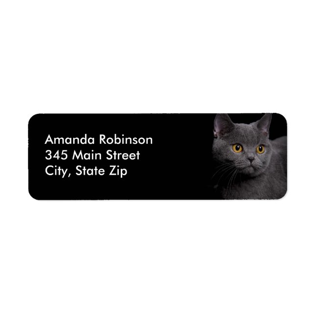 British Shorthair Cat Return Address Label (Vorne)