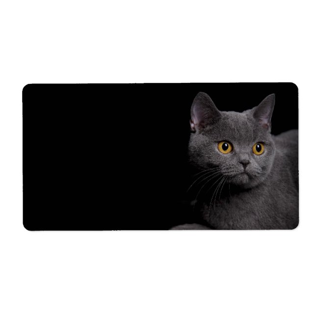 British Shorthair Cat Shipping Label (Vorne)