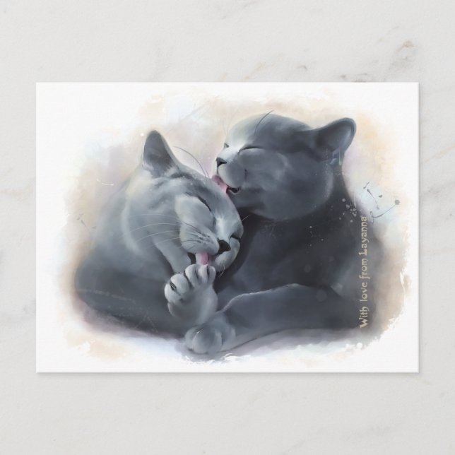 British Shorthair cats Postkarte (Vorderseite)
