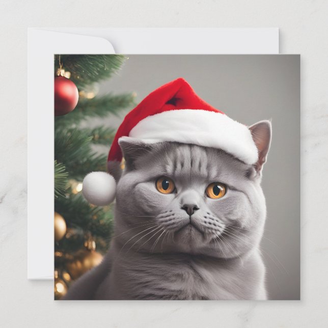 British Shorthair Christmas Feiertagskarte (Vorderseite)