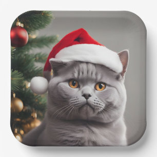 British Shorthair Christmas Pappteller